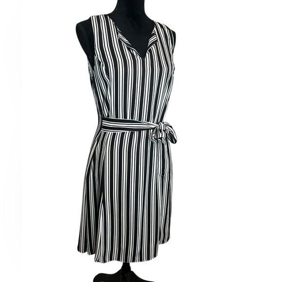 BANANA REPUBLIC STRIPED BLACK & WHITE SLEEVELESS ALINE DRESS WOMENS SIZE 10 - Picture 8 of 11